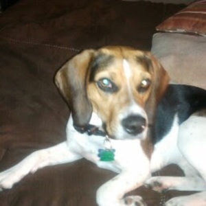 Meet your Posher, Glo